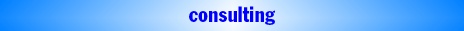 IT consulting